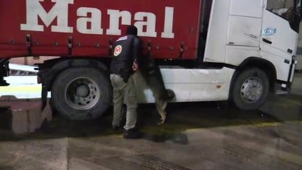 Kocaeli'de 200 Bin TL Değerinde 21 Bin 100 Adet Kaçak Sigara Ele Geçirildi