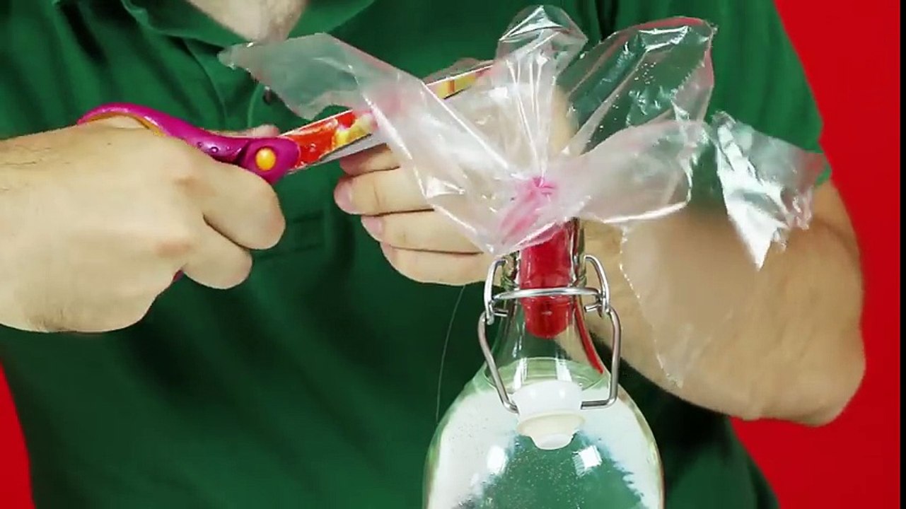 Deniz Anası Yapımı | Nasıl Yapılır | Pratik Bilgiler JR