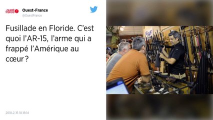 Fusillade en Floride. C’est quoi l’AR-15, l’arme qui a frappé l’Amérique au cœur ?