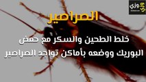 طرق مكافحة حشرات المنزل