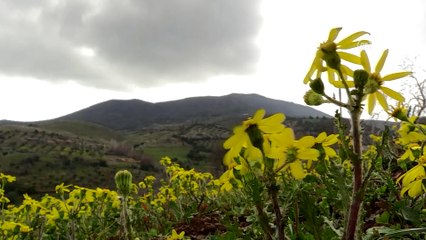 Darmık Dağı çevresinde yol yapım çalışmaları sürüyor