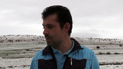 Yozgat'ta kar yağışı çiftçinin yüzünü güldürdü