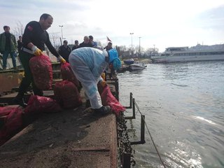 Beyoğlu'nda Ele Geçirilen 3 Ton Canlı Midye Haliç'e Döküldü