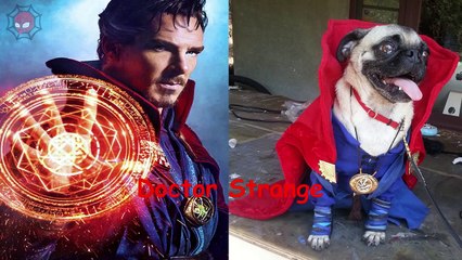 Dogs Cartoon Character In Real Life Superheroes In Real Life As Dogs