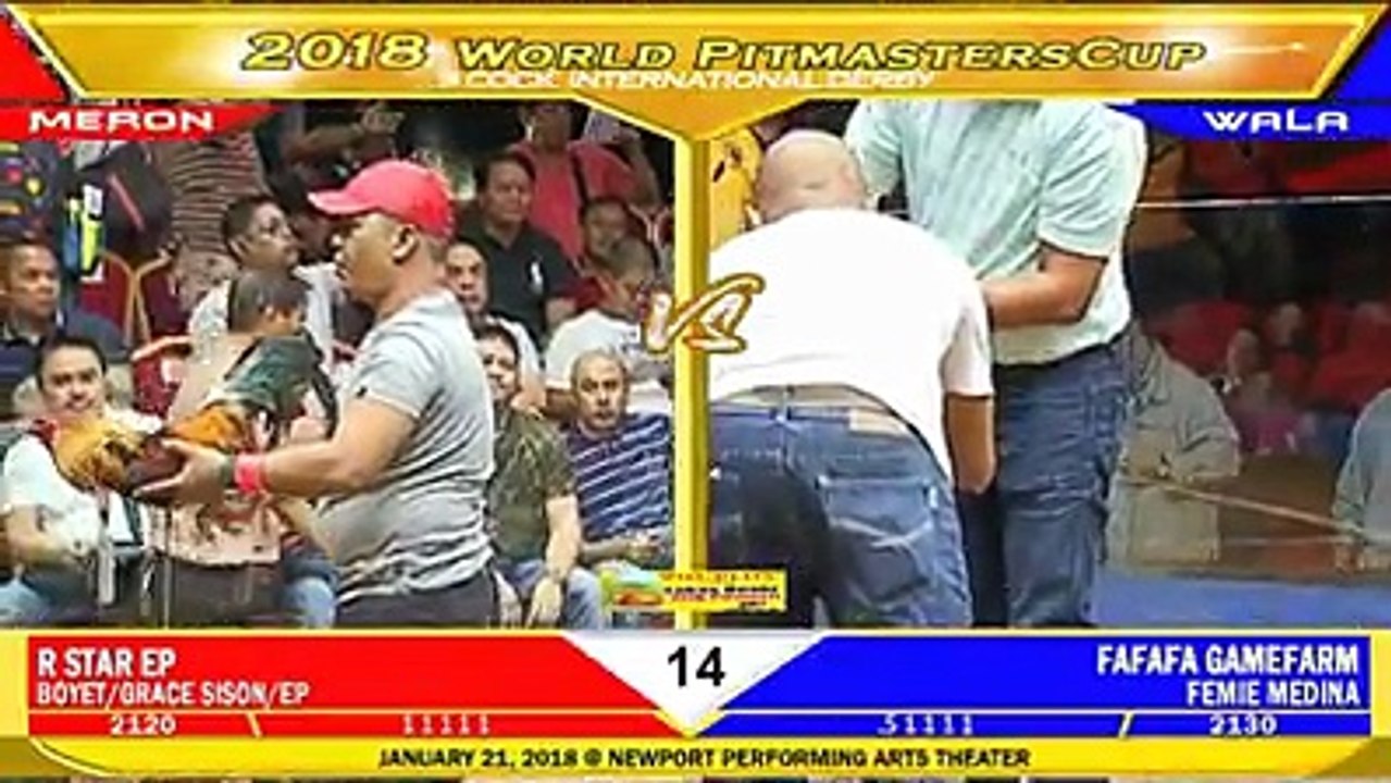 WORLD PITMASTER CUP 2018 FIGHT 14 R STAR EP VS FAFAFA GAMEFARM