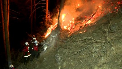 겨울 산불 비상..."건조한 날씨·적은 강수량 탓" / YTN
