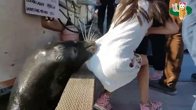 Sea lion drags girl into Steveston waters