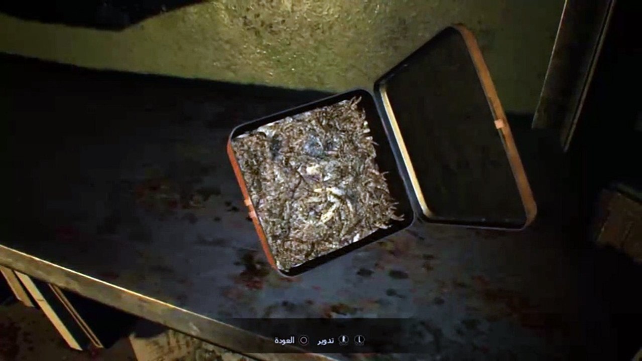 هاي