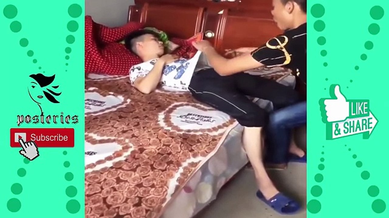 Best Funny Videos