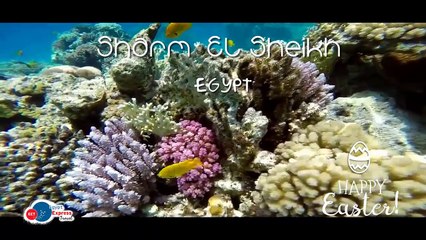 Recommended Destinations Easter 2018