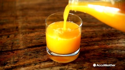 Florida citrus industry reeling in wake of Hurricane Irma