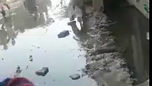 whatsapp video