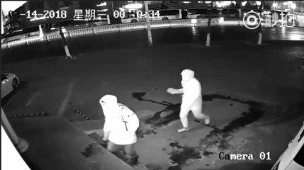 On a trouvé les pires cambrioleurs du monde