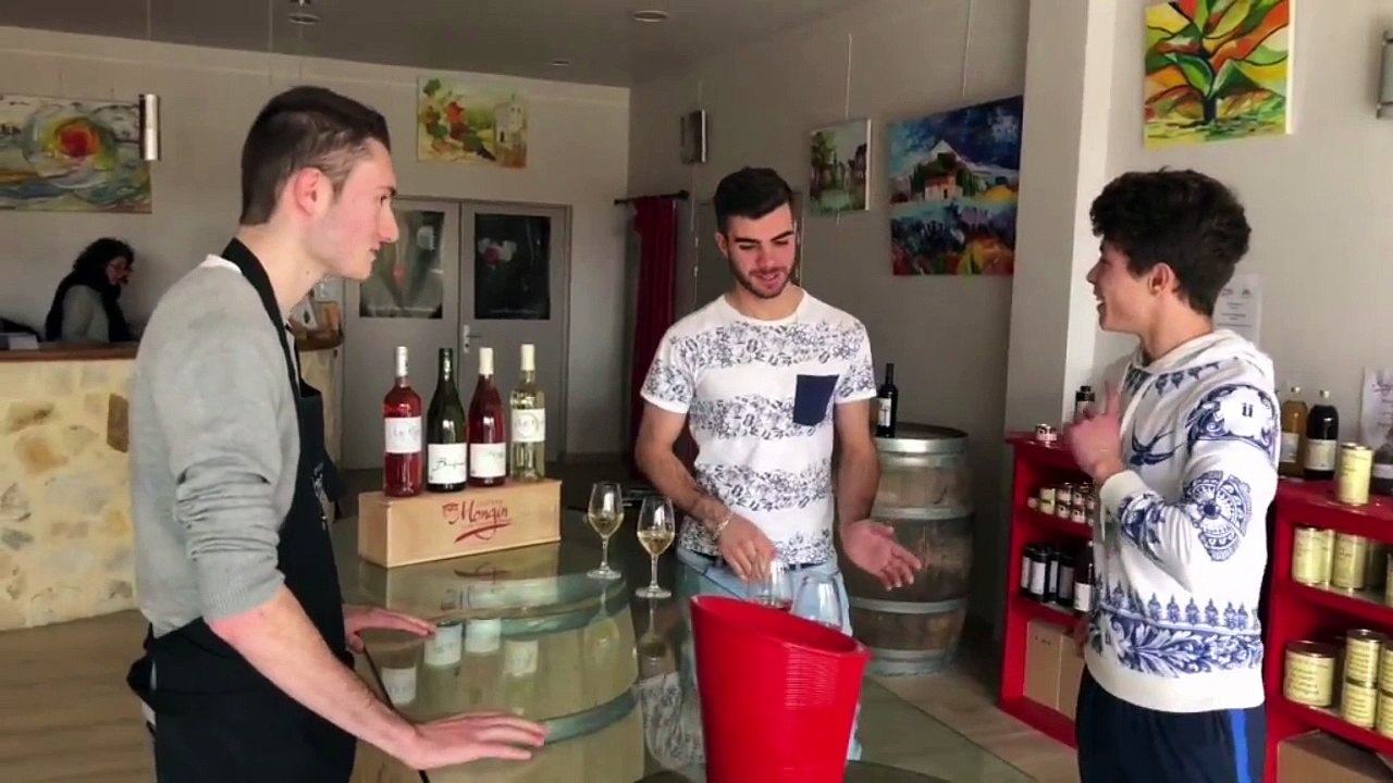 Vinification Blanc-Rosé  Projet MIL Néo