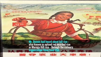 Finding a Lost Strain of Rice, and Clues to Slave Cooking