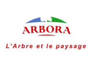 ARBORA à Joué-lès-Tours, élagage, coupes d'arbres, travaux paysagers.