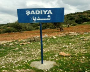 Afrin'de 5 Köy Daha ÖSO'nun Kontrolüne Geçti