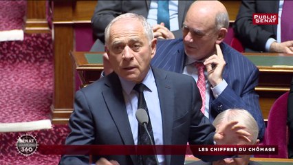 Chiffres du chômage : le chef de file des sénateurs LREM chahuté