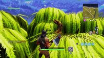 Try to get a win on fortnite battle royale