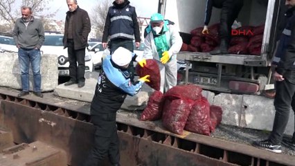 3 ton midye denize döküldü