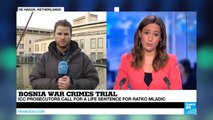 Bosnia war crimes trial: 'Life sentence request for Ratko Mladic not a surprise'