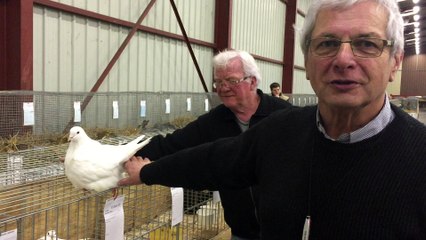 Norbert Besson et Jacques Reberat présentent l'exposition avicole