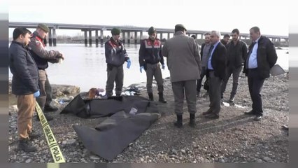 Турецкая семья утонула на пути в Грецию