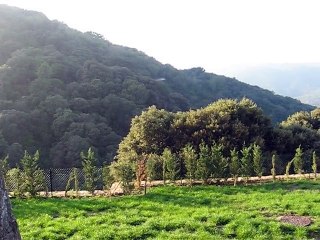 Chartreuse-La Verne (6)