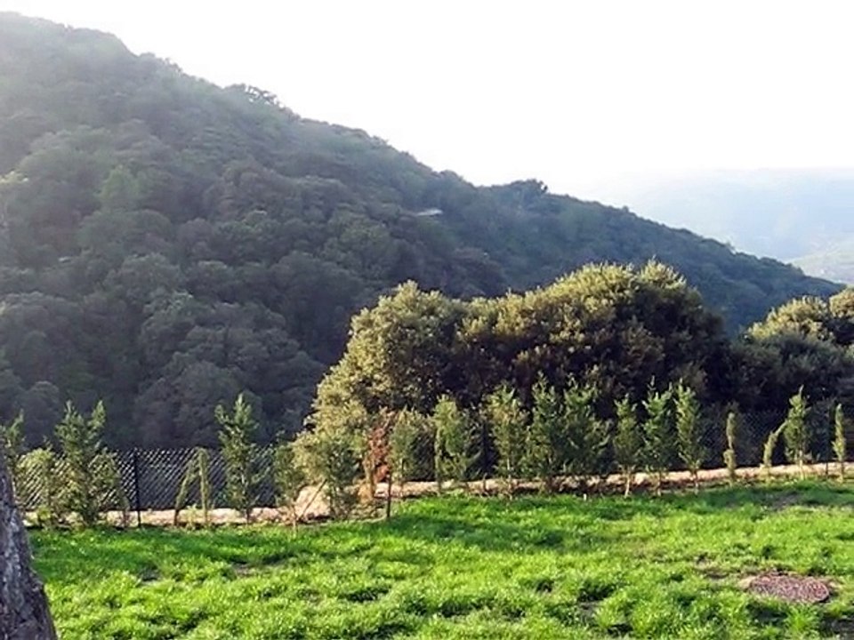 Chartreuse-La Verne (6)
