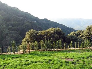 Chartreuse-La Verne (5)