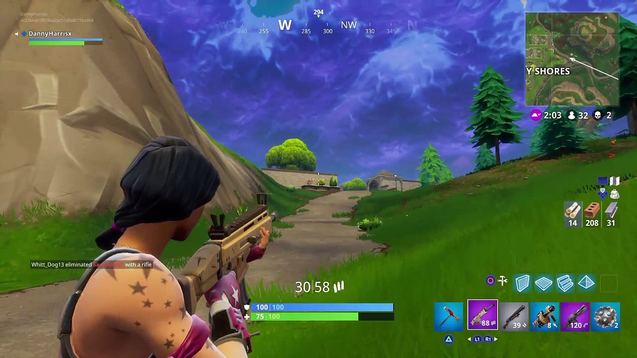 Fornite (16)