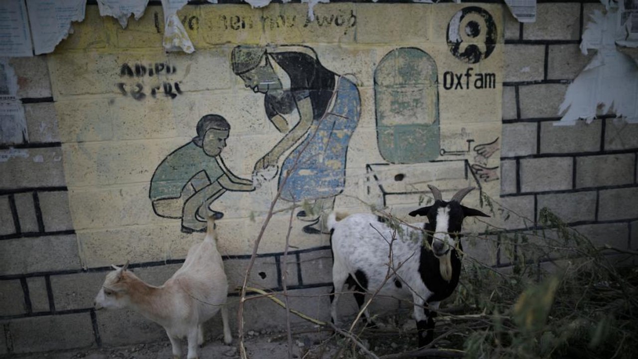 Andrew MacLeod: ´"É preciso responsabilizar as instituições humanitárias"