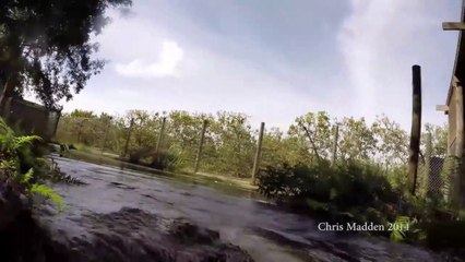 Un crocodile embarque une GoPro entre ses dents! Petit film de vacances