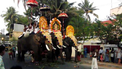 Elephants on parade - India