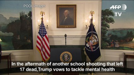 Trump avoids comment on gun laws, vows to tackle mental health