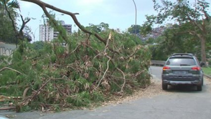 Sube a cuatro el número de muertos por fuertes lluvias en Río de Janeiro