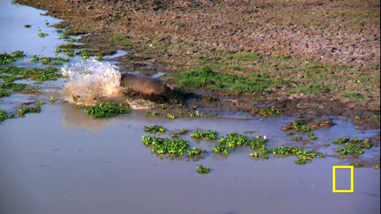 2016-07-10 Gorongosa, National Park