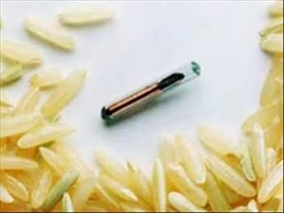 The Microchip and REAL ID (edited 1)