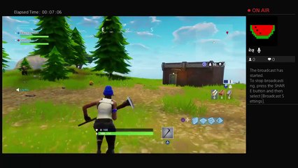 Fortnite trying to get wins (4)