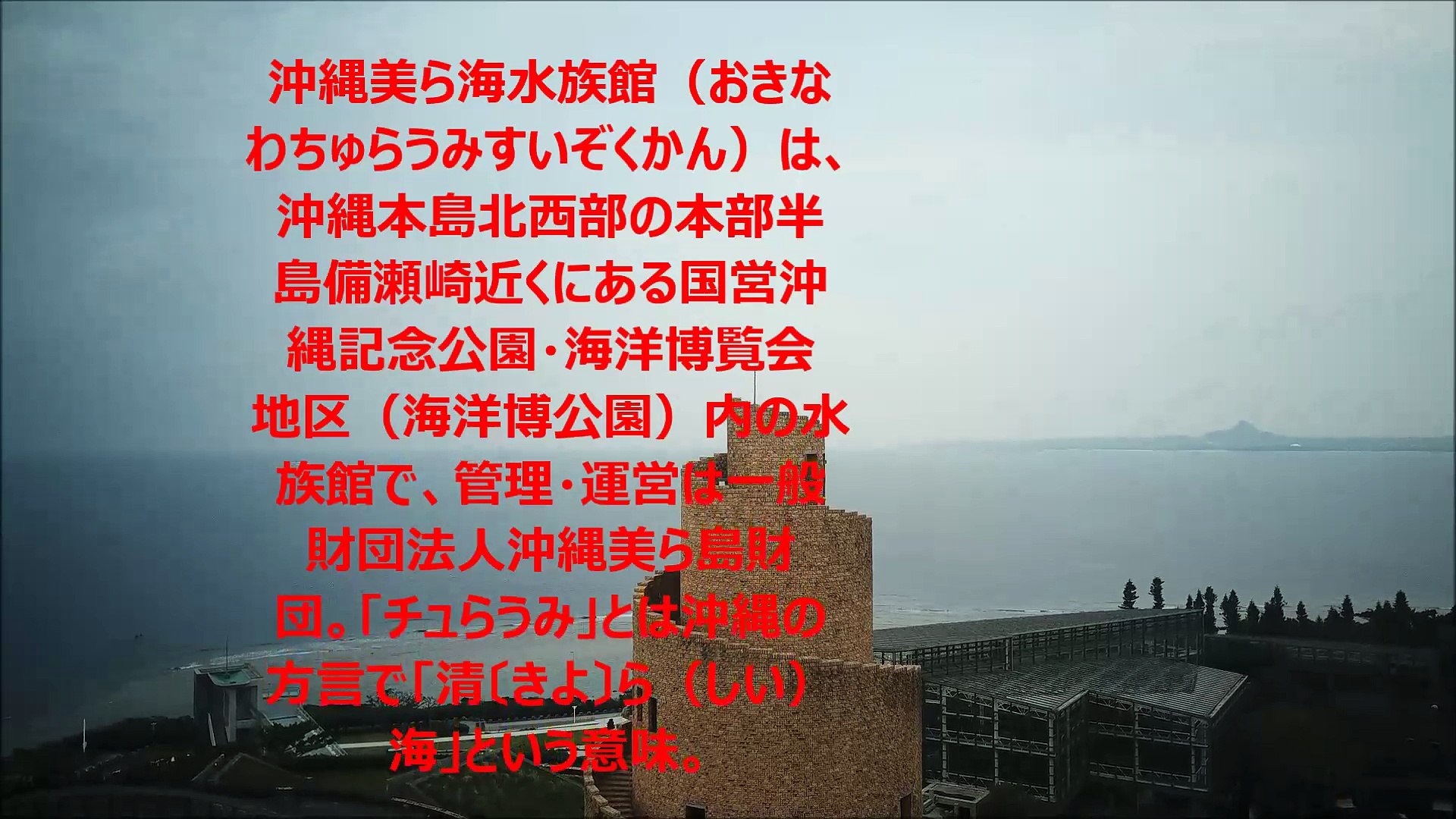 Okinawa Churaumi Aquarium 沖縄美ら海水族館 Made By Flying Chinese Video Dailymotion