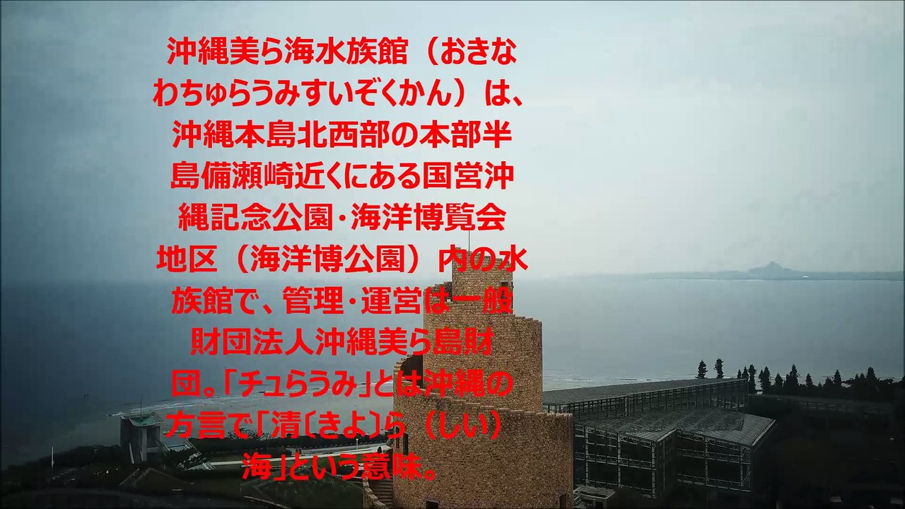 Okinawa Churaumi Aquarium 沖縄美ら海水族館 made by flying chinese