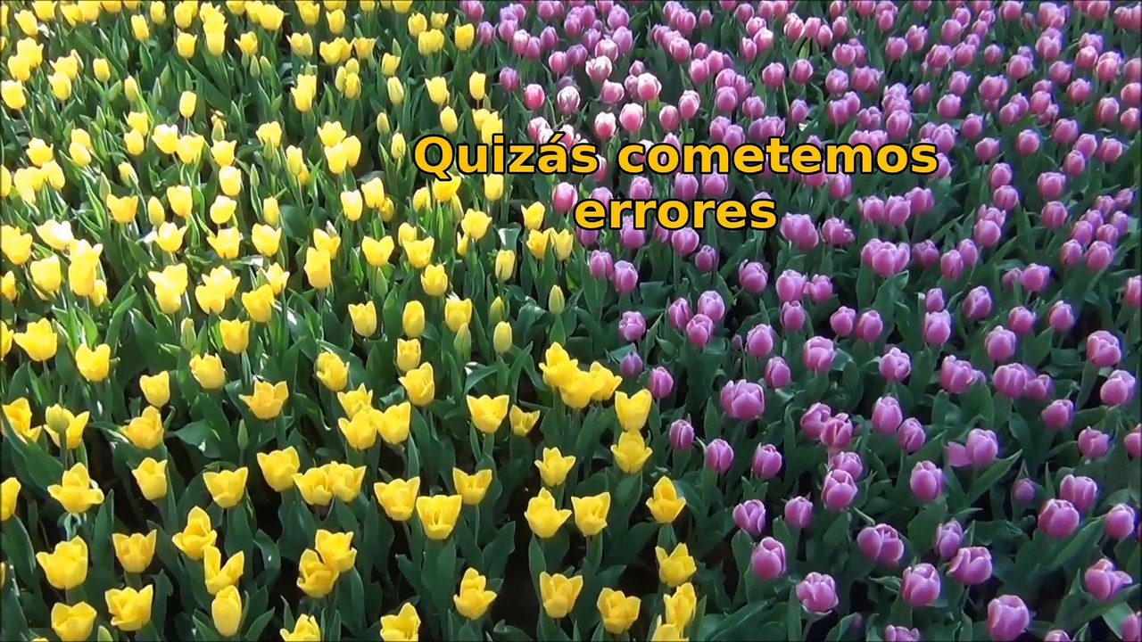 Las verdaderas amigas son para siempre