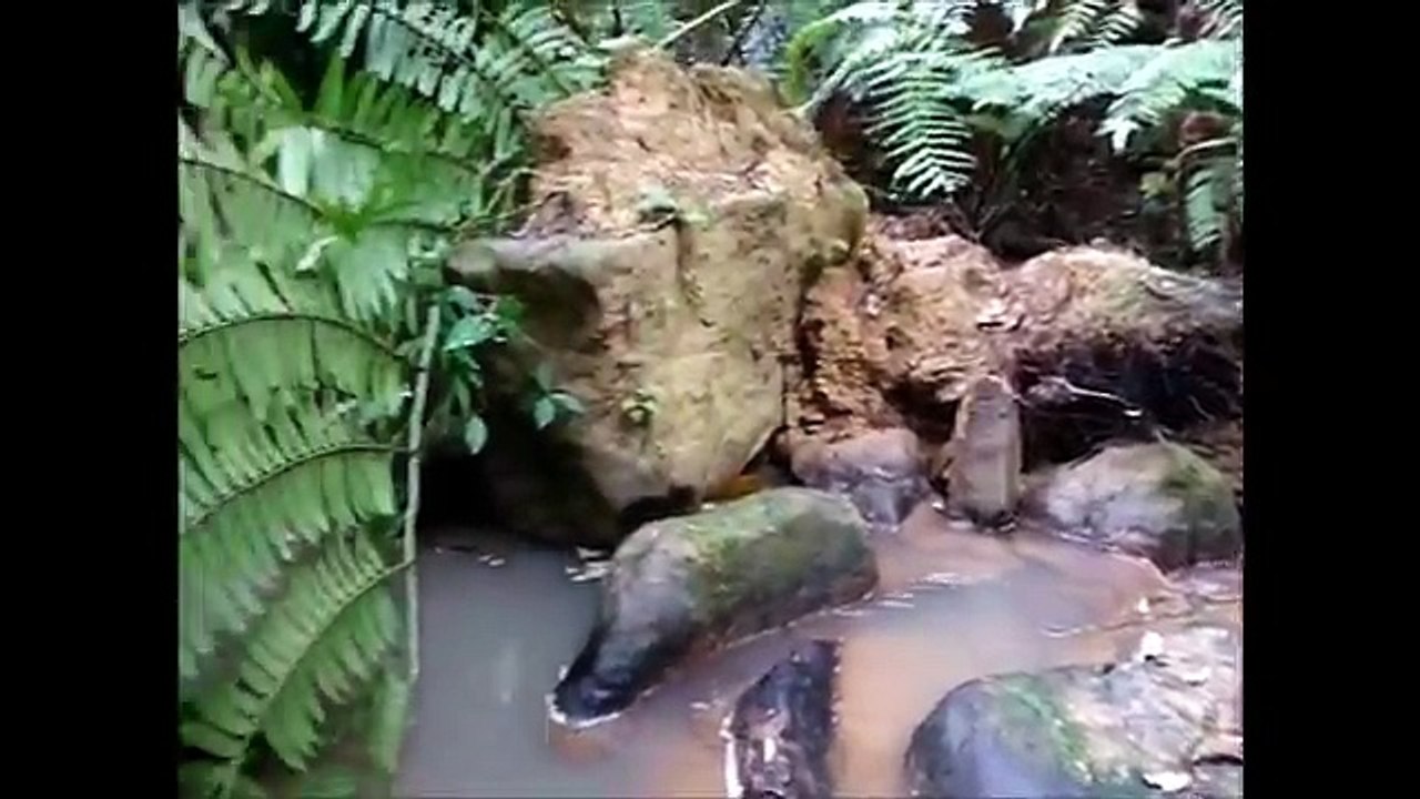 Island of Iriomote 西表島 Dschungel mit Wasserfällen oder mit dem Kayak nach Tokyo
