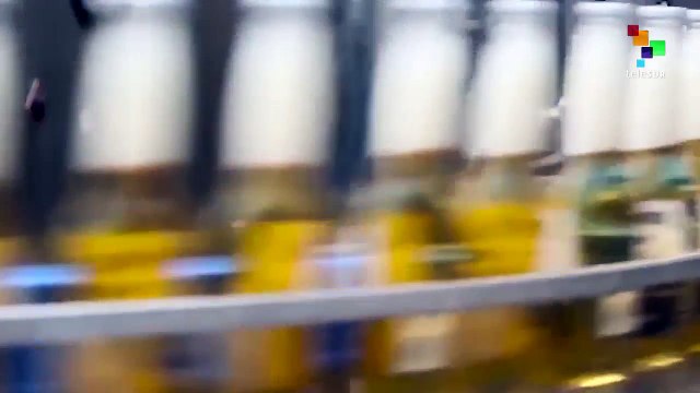 Resist Corona: The Beer Company Stealing People's Water