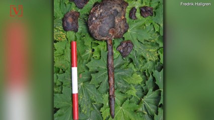 Ancient Skulls Likely Mounted on Sticks Discovered in Sweden