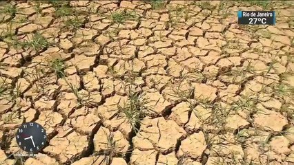 Estiagem já causa prejuízo de R$ 300 milhões no Rio Grande do Sul