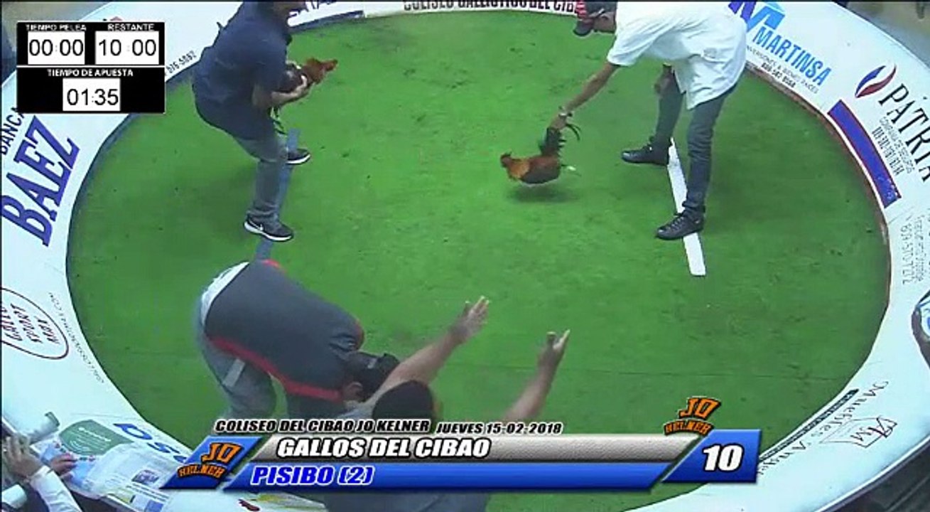 GALLOS DEL CIBAO VS PISIBO 2