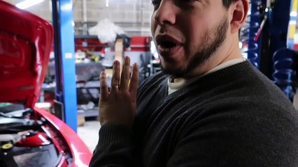 FIRST DYNO NUMBERS REVEALED!!! It Made How Much???