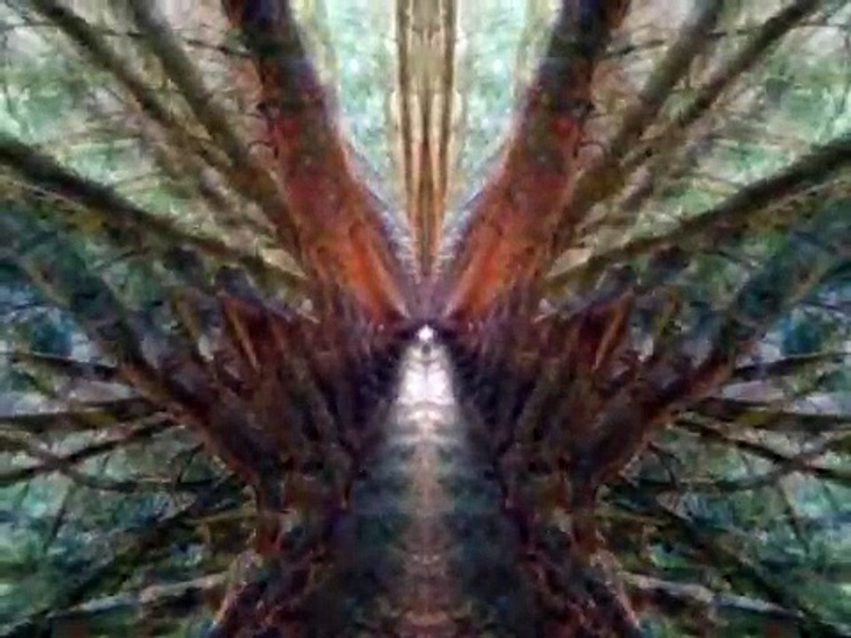 Deep Dream Dinamico parte 1