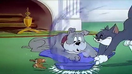 Cartoons For Kids Tom And Jerry English Ep. - Quiet Please!  - Cartoons For Kids Tv